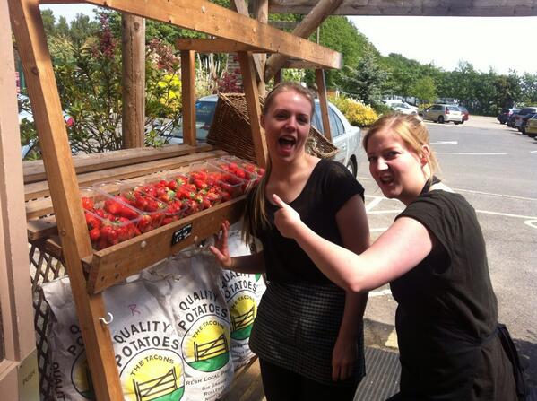 we have lots of lovely looking strawberries today!!!