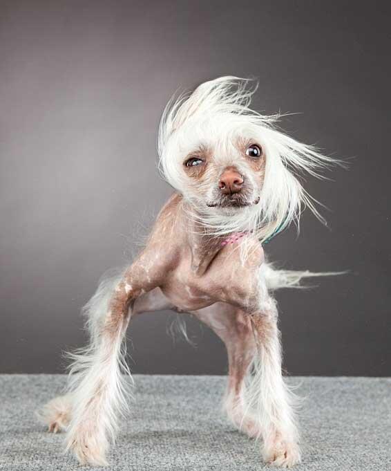 ToiTerer's tweet image. 