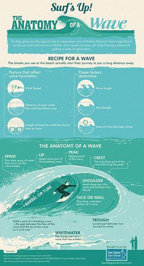 sdsurfschool's tweet photo. The Anatomy of a Wave: By San Diego Surf School #PrivateSurfLessons #SurfCamps #GroupSurfLessons #surfschool http://t.co/Y8trJ1jboY