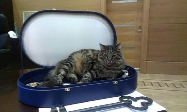 RigasDome's tweet image. Rīgas atslēga drošībā! #MuzejuNakts @RigasDome