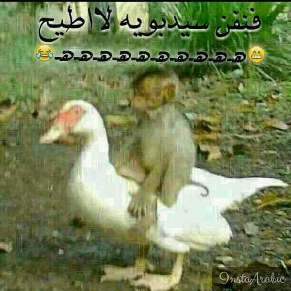 هههههههههههههه