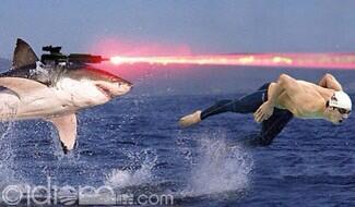 flik61's tweet photo. @tneck62 @21TNT @willys160 kirk training his pets to kill.#lazershark #raptor #teammoney http://t.co/tqPefAPTVo