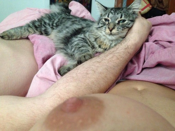 Baby-chat in the bed with us :) (the hairy arm is not mine btw...) http://t.co/0zTZMXALaE<a href="/tag/bigcock"class="tags"><span>#bigcock</span></a><a href="/tag/ur3"class="tags"><span>#ur3</span></a>