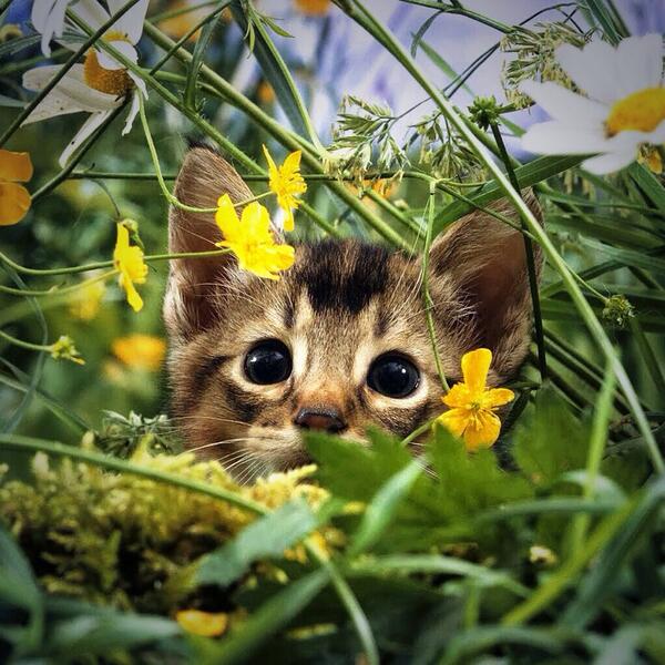 CoreDayzz's tweet image. 