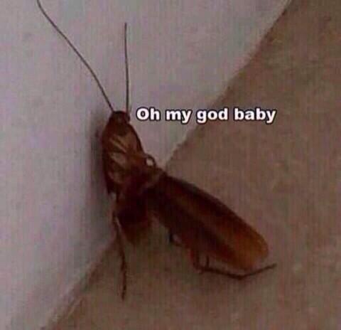 PerrieSSC's tweet image. “@CamCabelloSSC: http://t.co/n6pOwGeagc” cumila stop