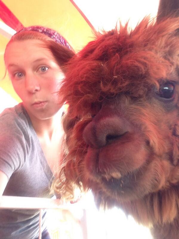 katearthur_xoxo's tweet photo. Stopped at the petting zoo before our interview with @scoreboardguy http://t.co/laV3e7DRyd