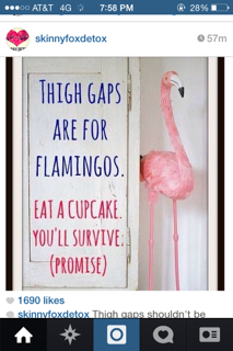 thefabflamp's tweet photo. fitness inspiration for a fat flamingo. #yesican http://t.co/ZeFqVIjoWh