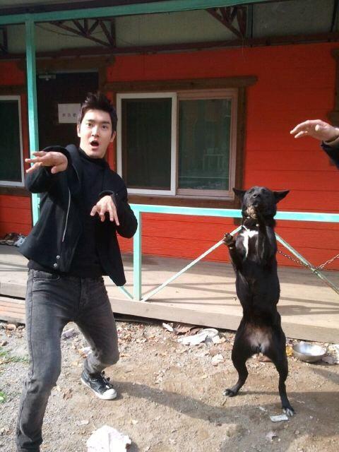 sujusoulspirit's tweet photo. น้องๆอย่ากินหมา โย่ว อย่าแดกหมา โย่ว #SJBestArtistFromTheWorld http://t.co/Br0YhY7Yhj