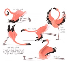 thefabflamp's tweet photo. my human friend suggested some yoga.....im thinkin nope nope so much nope http://t.co/2DbPdVsmZD
