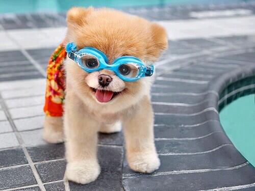 tbhcuties's tweet photo. So cute💖 http://t.co/wAYsdc00nr