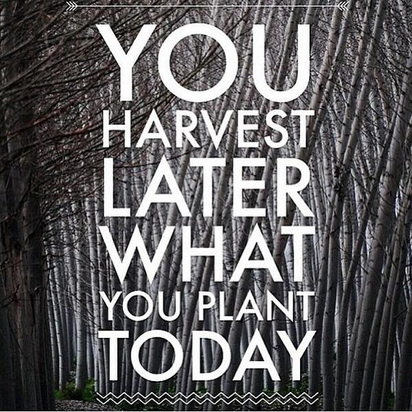rg1nakoa's tweet image. at @EZIAsd #EZIAtrained #carlsbad #gym
