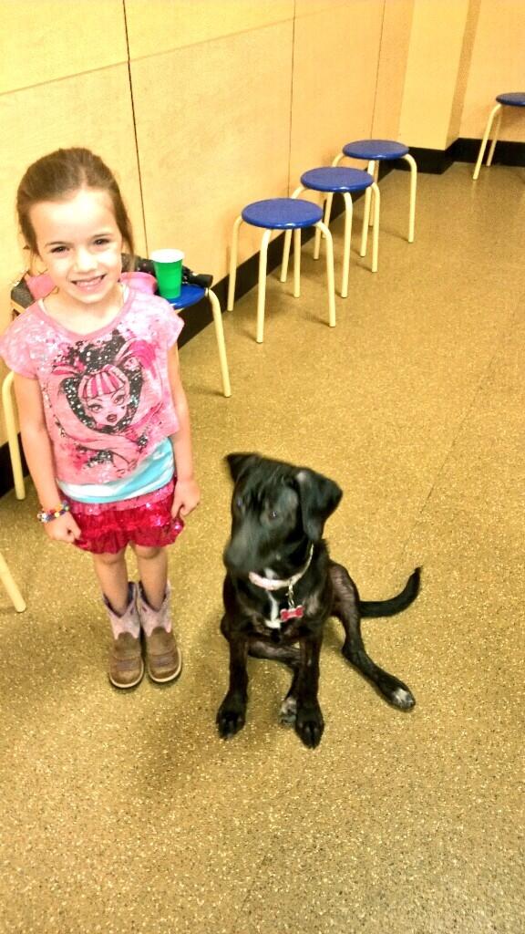 Petsmart1759's tweet photo. Madison and her dog Molly, proudly graduating puppy class today. #inspiredbypets http://t.co/7MHKRVXQmo