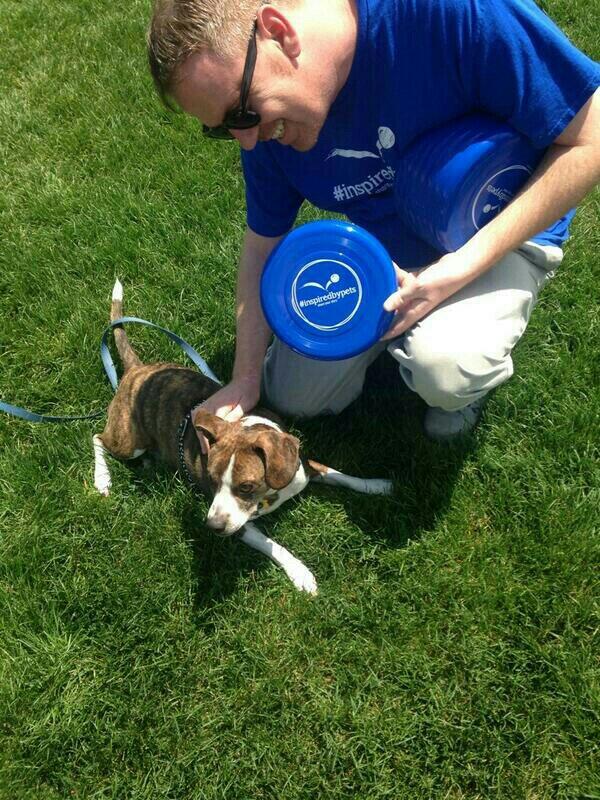 HermanBotkins's tweet photo. Giving some love to this baby at the park . Inspired by pets everywhere....everyday!!  #inspiredbypets #wcpetm http://t.co/naJM8zOA68
