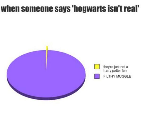 Harry Potter Pie Charts