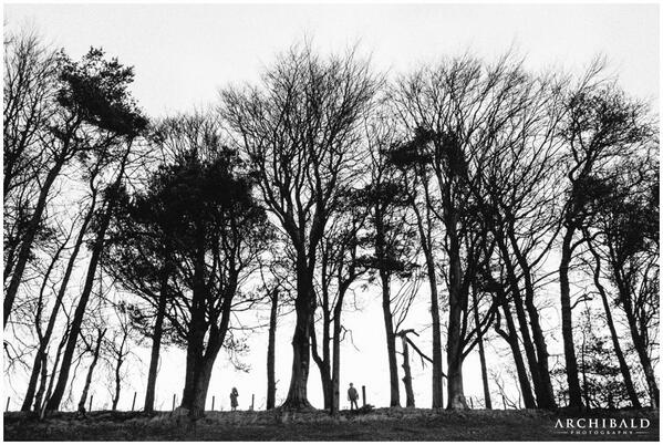 ArchibaldPhotog's tweet image. The kids in the trees... #familyphotography