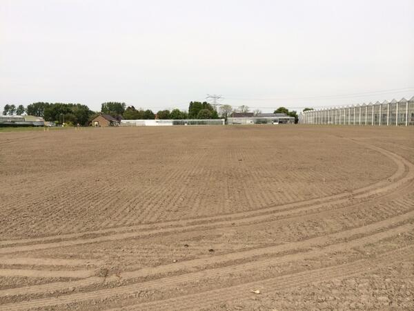 SenZaro ‘THE BLOOMING COMPANY’ tweet media