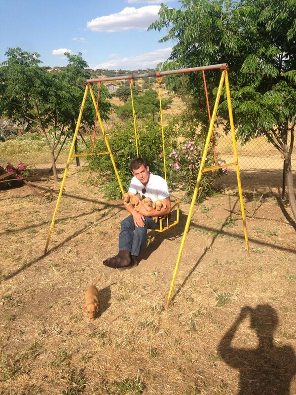 fernandocasmon's tweet photo. ...todos los teckel desparasitados😉#futuraspromesas... http://t.co/WgXPs3f5q8