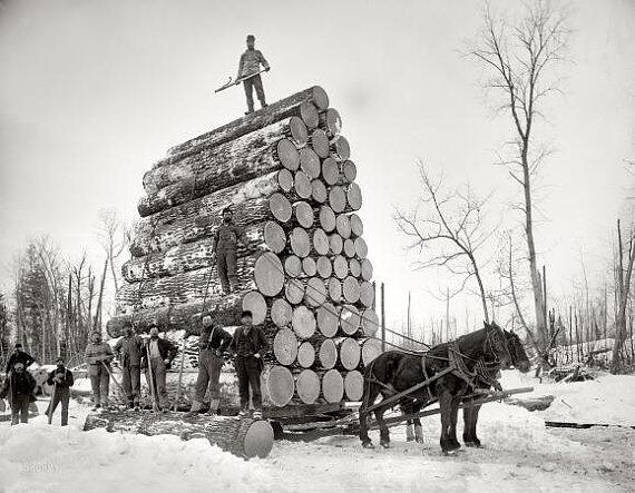Horses pulling a huge stack of logs- lumberjacks #oldphoto 
etsy.com/listing/176116…
