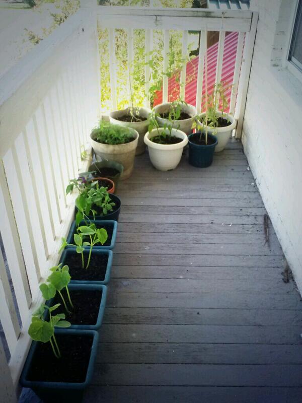 ajkitchen tweet media