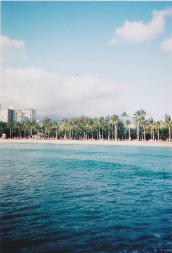 RealBasicLayne's tweet image. This looks perfect