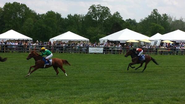 Natalia H tweet media