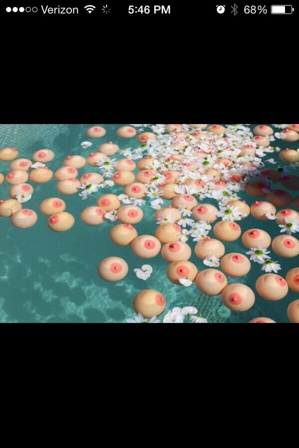 The waters a bit nippy today