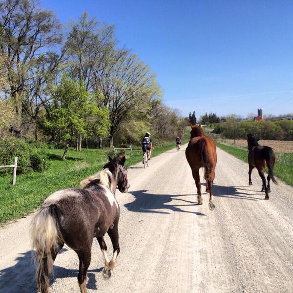 iamlafrance's tweet photo. Forgot the highlight of the ride! #almanzo #runningwiththehorses http://t.co/MNw1AICtXu