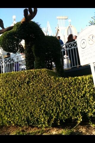 MeatysDog's tweet image. @MailLace did you see the moose in front of "it's a small world"?