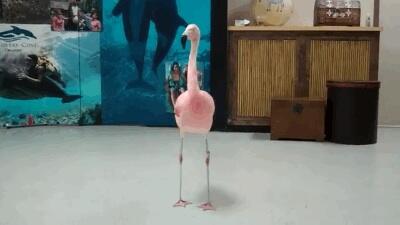 thefabflamp's tweet photo. Apparently I'm awesome at Zumba http://t.co/2iYTOQtQZj