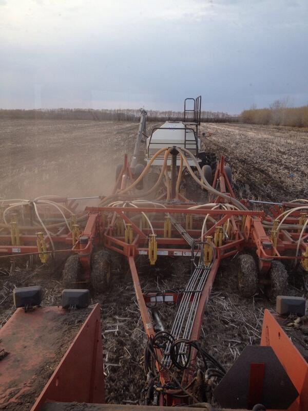 RJP Seed LTD tweet media