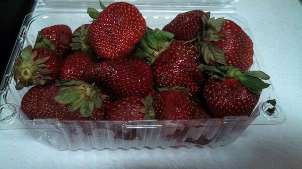 mcdowell_kate's tweet photo. Bought some fresh local strawberries from #chiltoncounty, Alabama. Easily the best I have ever had. http://t.co/Ok3cFnTdKw