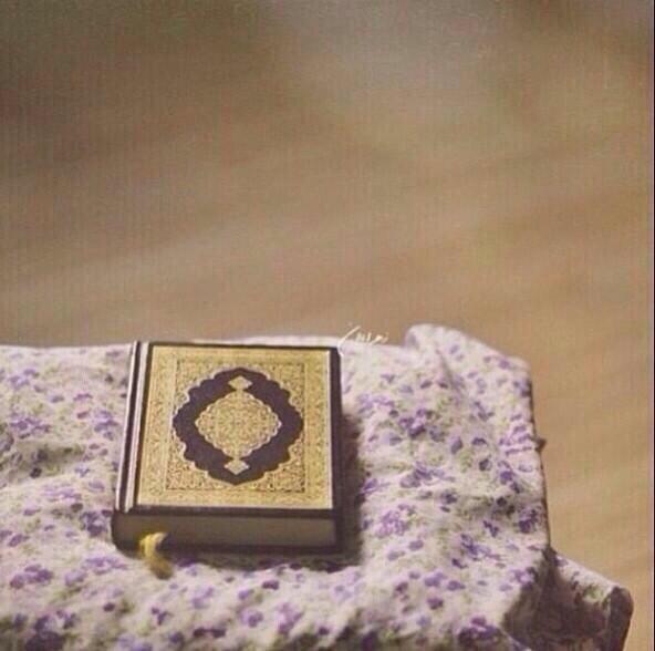 esraasayedabd's tweet photo. <3 http://t.co/f4xYboq5Qa