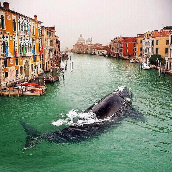 ITALY VENECIA italy venecia: