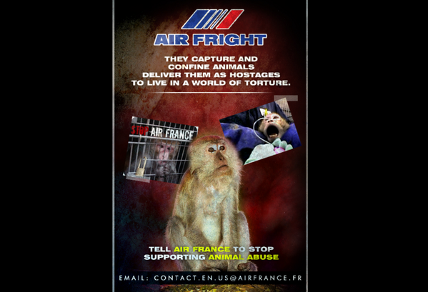 @AirFright-The Movie---finally @airfranceexposed #animalabuse #indiegogo would you contribute $5 to campaign?