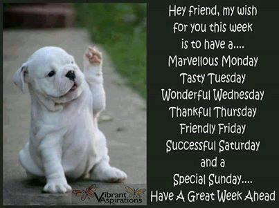 hapidays's tweet image. 