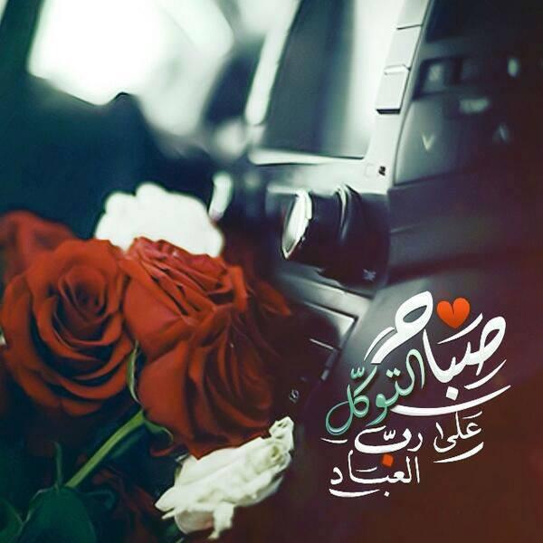 د.هيا الهلالات ( بني ليث) 🇯🇴 (@haya_hll) on Twitter photo 