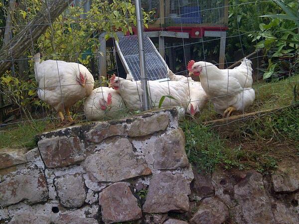 jonow74's tweet photo. Got my new beasts :D http://t.co/YGhiAzz29d