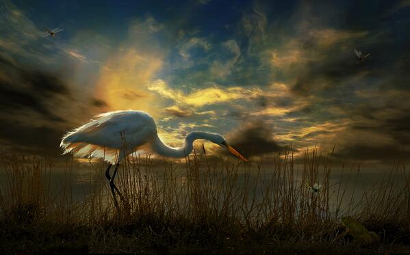 Gabriele_Corno's tweet image. Shore by Nataliorion #CGE #life