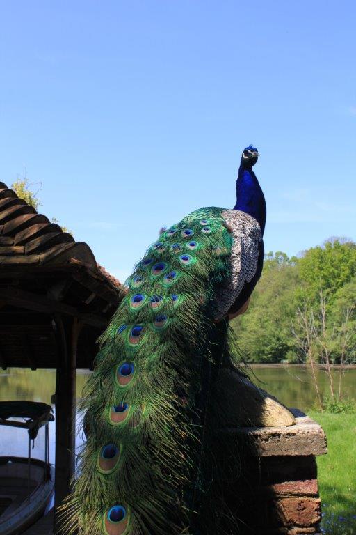 PowderMills Hotel tweet media