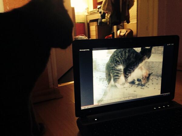 Valdiacho's tweet image. Kepas paliek vājas ..