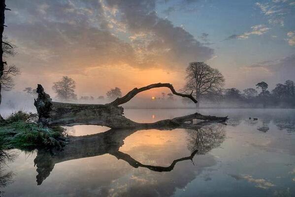 Gabriele Corno tweet media