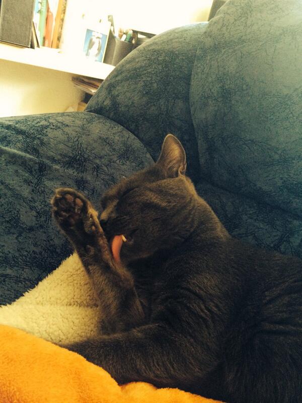 Valdiacho's tweet image. @King_Brikovskey varu būt tīrs