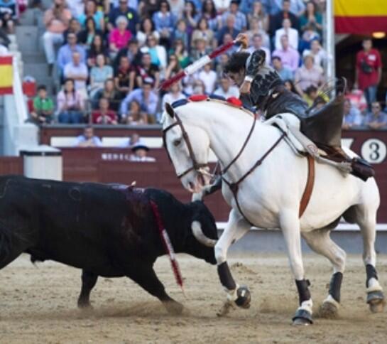 miguel_gomis's tweet photo. El sábado que viene, vuelvo Desde Mallorca a @PlazadLasVentas para verte  salir de nuevo a hombros @DiegoVentura82 http://t.co/4zewOeHuNP