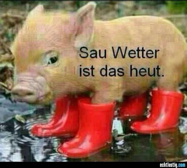 herzmensch69's tweet image. Das ist wohl wahr...es schüttet schon den ganzen Tag😔☔ #infotweet