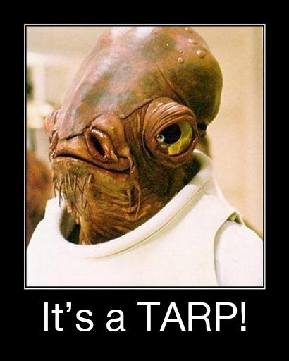 Matthew Tarp Halo4tarp Twitter Matthew Tarp Halo4tarp Twitter