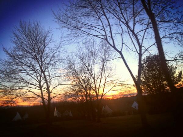 aliensignals tweet media