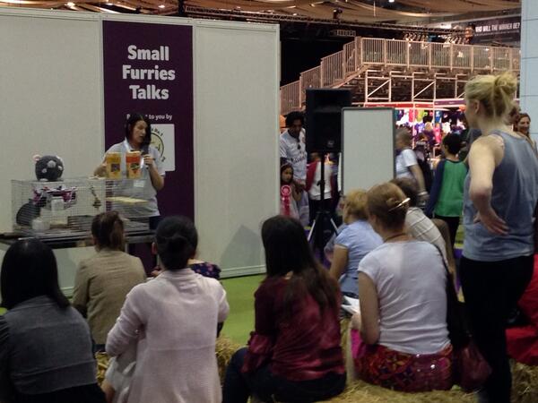I'm being an educational #chinchilla with the @CHINformative team at #LondonPetShow @LondonPetShow. #ChinchillaCare