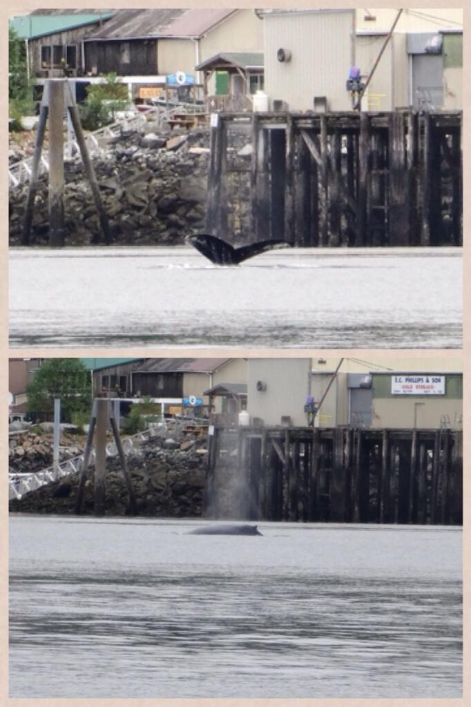 Bn7heIkCcAAM2vr.jpg:large