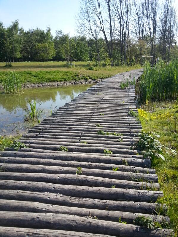 Klauterwoud in de broekpolder!  Op loop afstand van het scout centrum Vlaardingen.