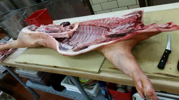 kakrieger's tweet photo. Sunday. Funday... Pig-day. Acorn fed berkshire pigs. #trojanfarm http://t.co/b6MAVzcZcD